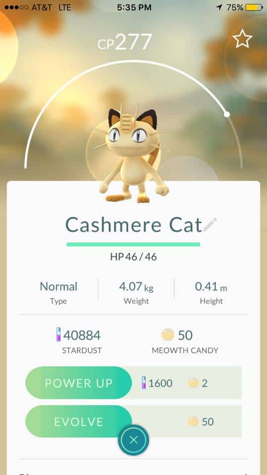 Pokemon Go Cashmere Cat