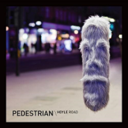 Pedestrian – Hoyle Road (SpectraSoul Remix)