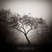 Sorrow – Embrace