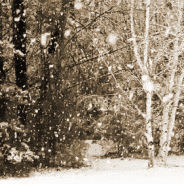Playlist: Music for a Snowy Monday (Chillstep)