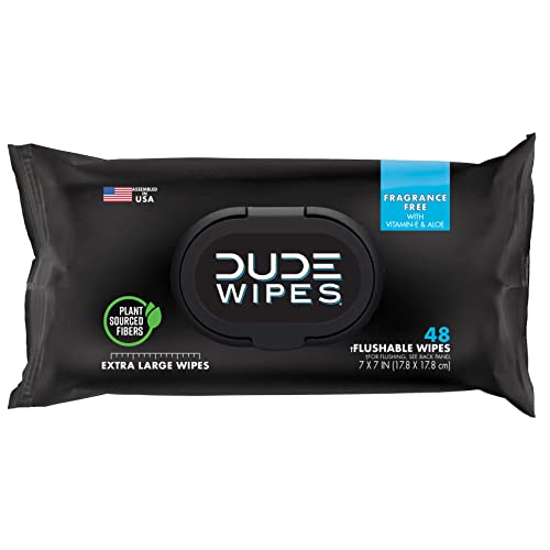 DUDE Wipes Flushable Wipes Stocking Stuffers - 1 Pack, 48 Wipes - Unscented Wet Wipes with Vitamin-E & Aloe for at-Home Use - Septic and Sewer Safe