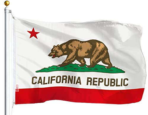 G128 California CA State Flag | 3x5 Ft | LiteWeave Series Printed 100D Polyester | Vibrant Colors, Brass Grommets