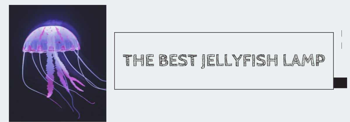 The Best Jellyfish Lamp